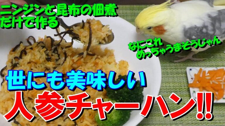 Vol 18 【お料理するよ】世にも美味しい人参チャーハンの作り方^^♪【momomama手づくりLife】