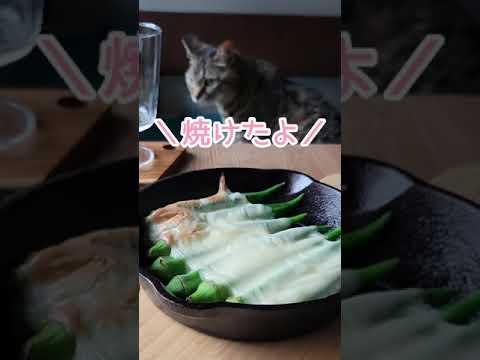 白ワインに合う！オクラチーズ焼き 【2人分146円】