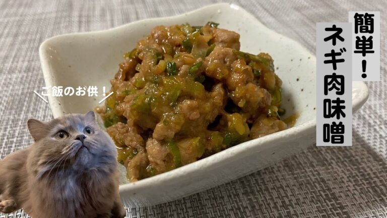 ネギ肉味噌with cats