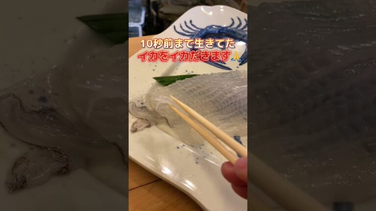 イカ好き必見🦑イカの踊り食いが最高だった件！！#YouTubeグルメ #ショートグルメ #飯テロ