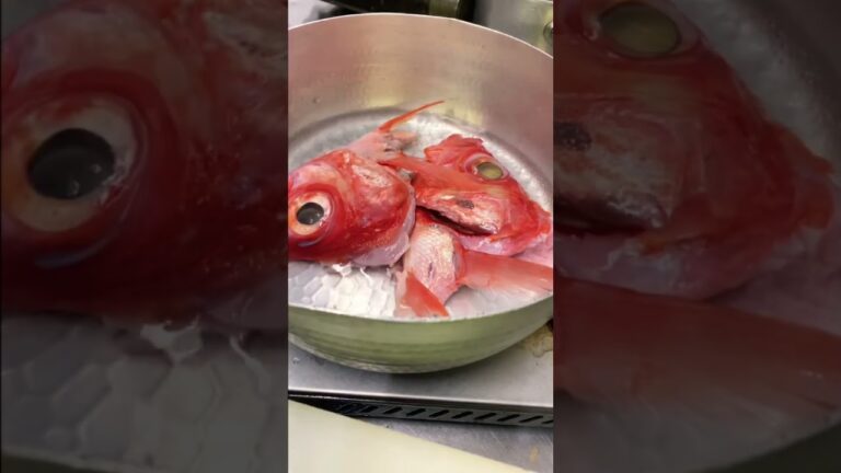 【金目鯛の兜煮‼️】#sushi #follow #japan #shorts #fish #जापानी खाना  #सुशी #스시　＃金目鯛