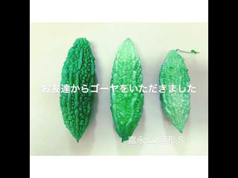 ゴーヤの佃煮