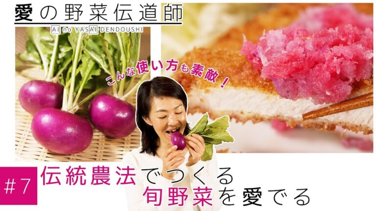 赤い「あつみかぶ」おろしてレモンでピンク色に♪【極上野菜で売れるメニュー開発#7】