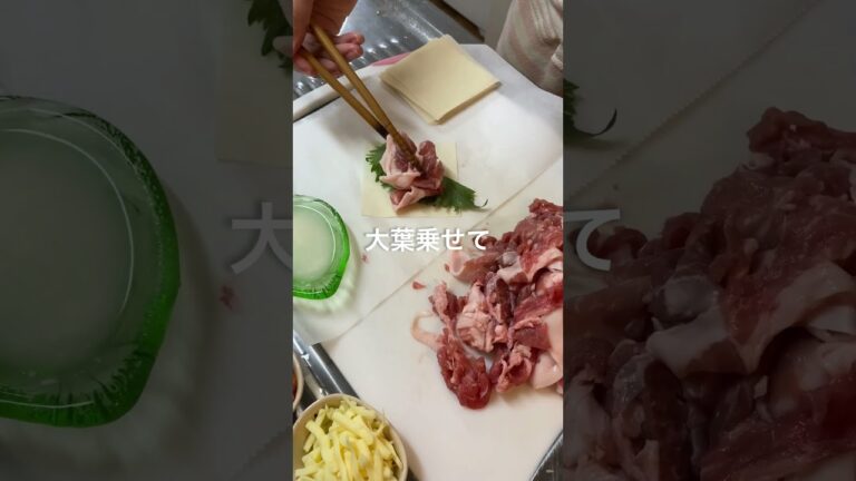 【余りもの】シューマイの皮でリメイク餃子