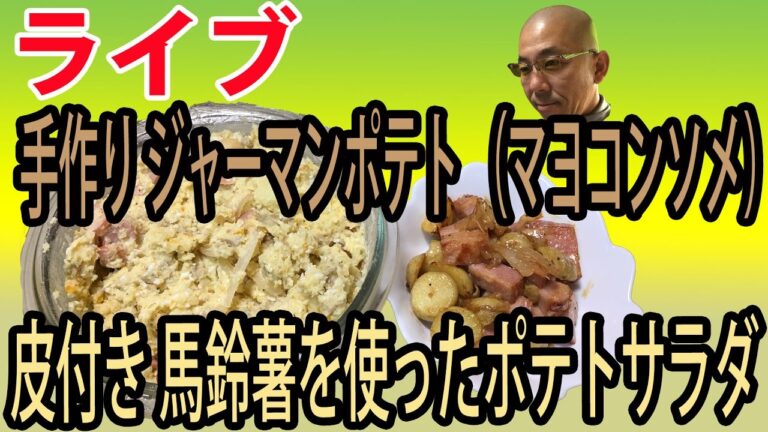手作り ジャーマンポテトとポテトサラダ その他で 晩酌