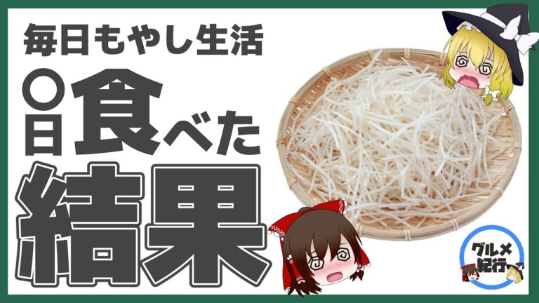 【ゆっくり解説】もやしを毎日食べるとどうなるの？危険な食べ方について
