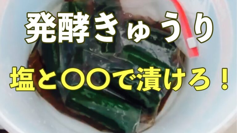 キュウリの乳酸発酵マスタード漬け　ベテラン調理師の発酵チャレンジ