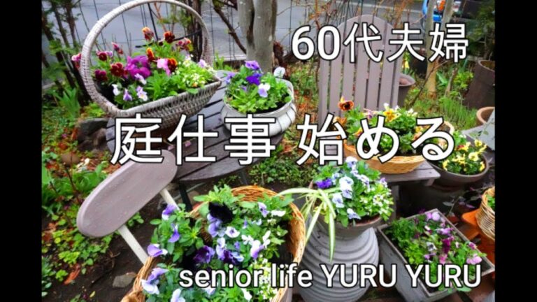 【シニアライフ】パンジーとビオラを寄せ植えに、アサリとトマトのパスタ、