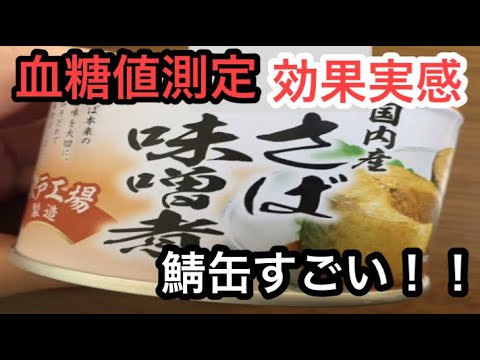 【糖尿病 食事】ヘモグロビンa1cを下げる 鯖缶の効果がすごかった！サバの味噌煮【血糖値下げる食べ物】