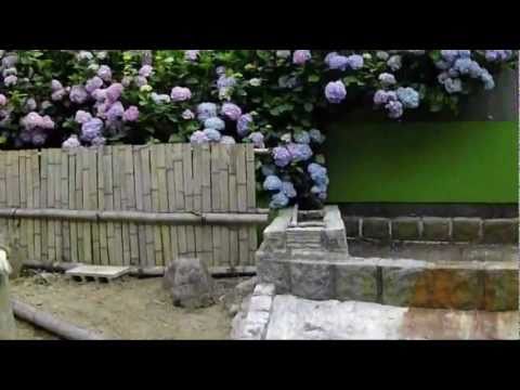 炊飯器で小エビのピラフ＠映画の森てんこ森