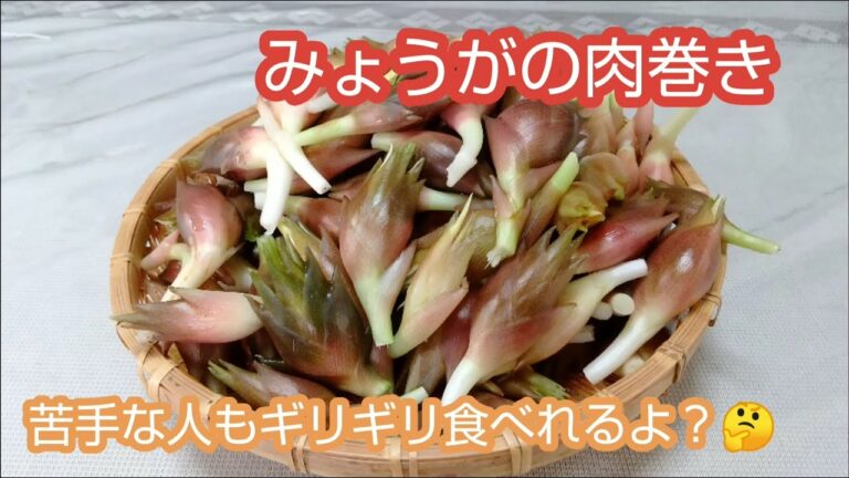 #170 みょうがの肉巻き