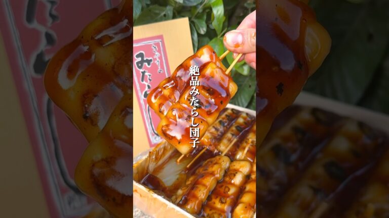 大阪で1番美味いと噂の絶品みたらし団子