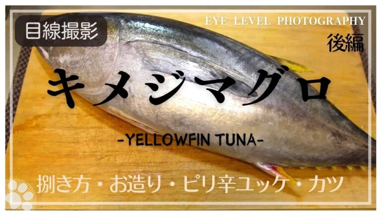 【後編】キメジマグロのお刺身とピリ辛ユッケ風、カツの作り方。