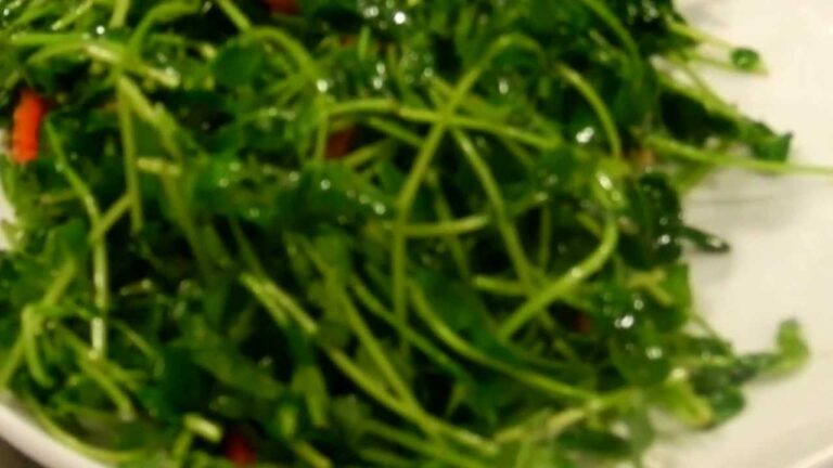 謝甜記貮号店－豆苗の炒め－