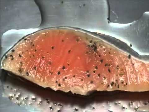 高血糖/高血圧/メタボ予防・ヘルシー料理◆発芽玄米と鮭の長芋グラタン