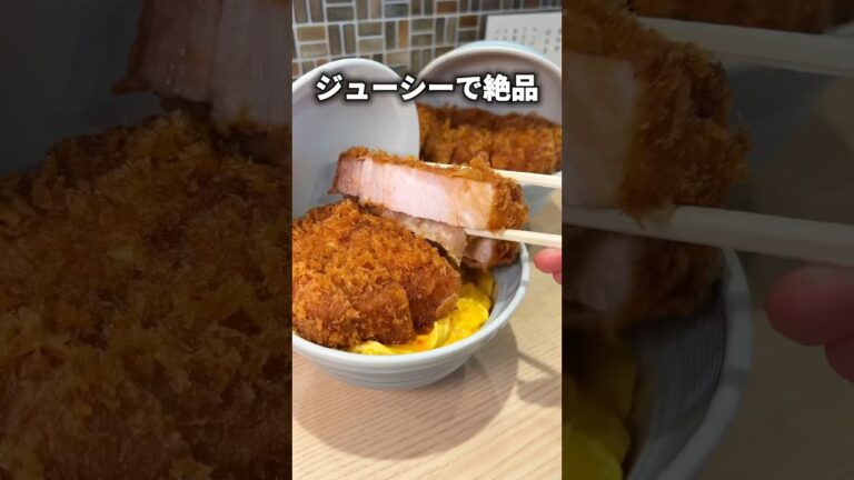 【大人気】日本一分厚い極厚かつ丼！？【門前仲町】