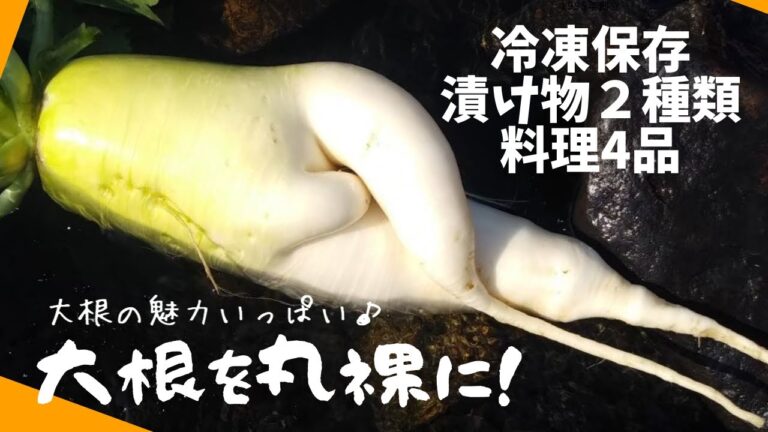 【大根３本貰ったらどうする？】大根は冷凍出来る⁉漬物　ステーキ　豚バラ大根　おでん　サラダ　ゆず大根　ナムルと食べつくしました！料理のレシピをはじめ、保存方法切り方をまとめました♪
