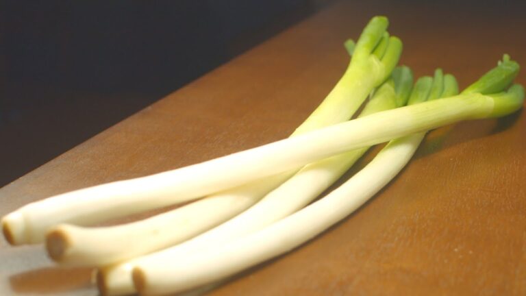 【 長ネギ レシピ】切ってまぜて 簡単 もう一品！ 免疫力 アップ 長ネギの使い方