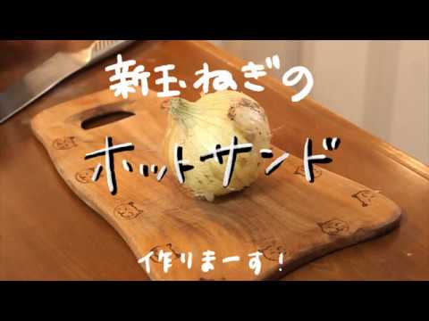 【新玉ねぎ】お弁当にもおすすめホットサンド【バウルー】