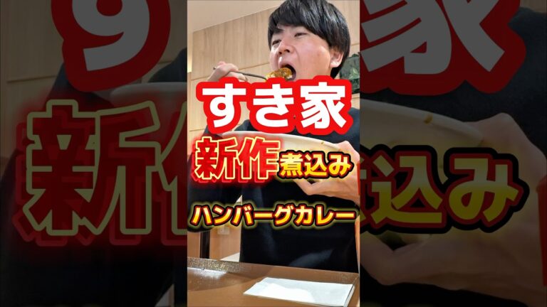 【すき家】新作の煮込みハンバーグカレーが美味しいらしい#グルメ #飯テロ #すき家