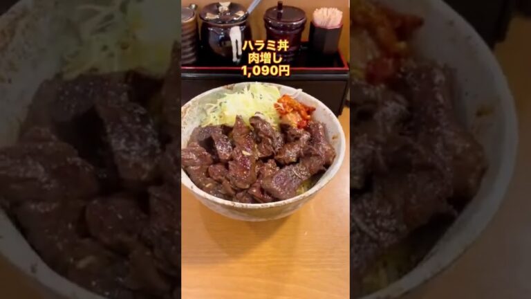 【秋葉原】丼 やまの 東京都千代田区神田佐久間町3-1 森本ビル 1F 秋葉原駅徒歩3分 営業時間 11:30～21:00 不定休 #shorts