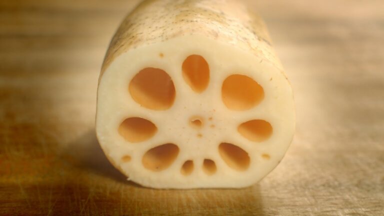 【 レンコン レシピ 】人気レシピも 定番も 3品揃えました！