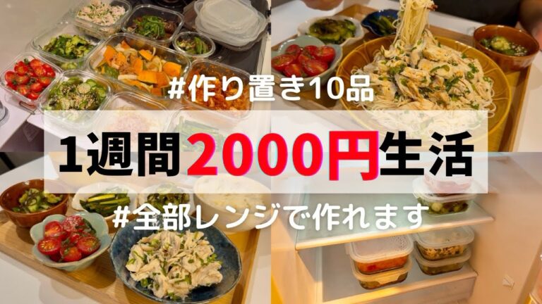 【超時短レンジだけ】2000円で10品作り置き！これで毎日の自炊から解放されます☀️