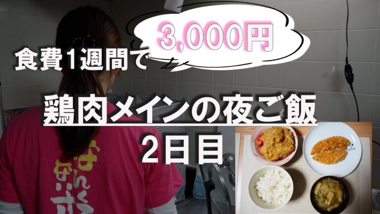 【節約】鶏むね肉メインで、1週間食費3,000円を目指してみた～2日目～【二人暮らし、同棲】