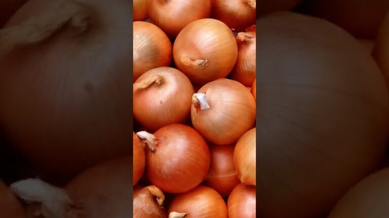 世界一旨い新たまねぎスープ/How to make delicious new onion soup