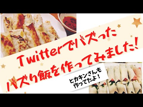 【簡単料理レシピ】餃子の皮に大葉と豚肉をくるんで焼くだけの料理　Twitterでバズったバズり飯　子供用レシピ　ヒカキンさんも作っていたよ