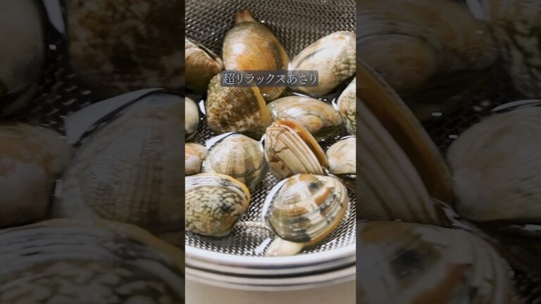 【500万回再生】世界一簡単なあさりの砂抜きがコレ　#ガンガンの料理塾 #あさり #ライフハック