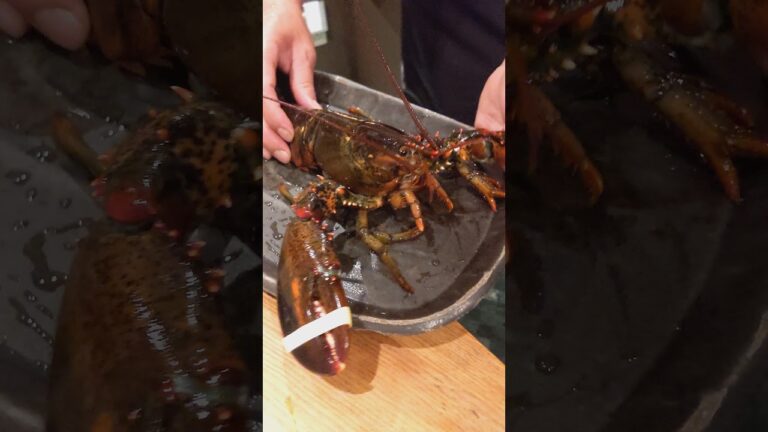 大阪心斎橋〜京風鉄板 はせ川〜肉、魚、海老、野菜、米食べたい物が全部食べれました。ボリューム、コスパがかなり良い源氏コース満喫させて頂きました。