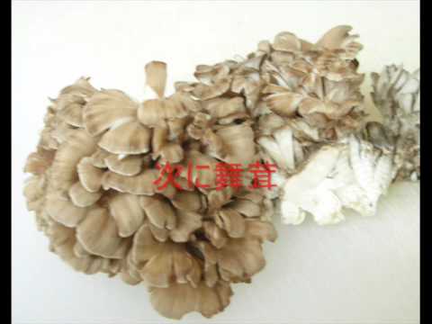 比内地鶏とじゅんさいの鍋 0001