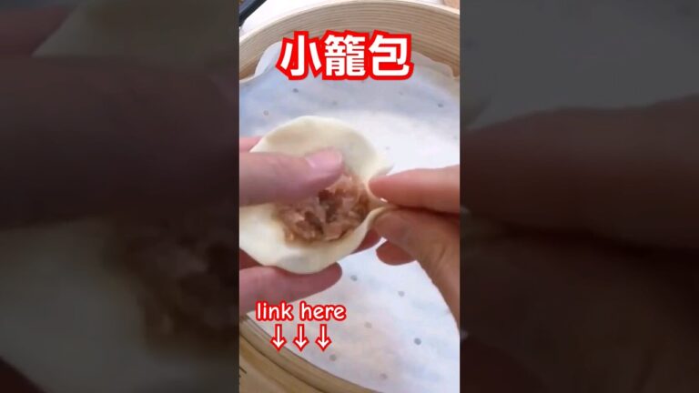 スープたっぷり有名な台湾グルメ小籠包の作り方 #shorts #food #cooking #料理 #recipe #レシピ #ショウロンポウ #小籠包 #台湾グルメ