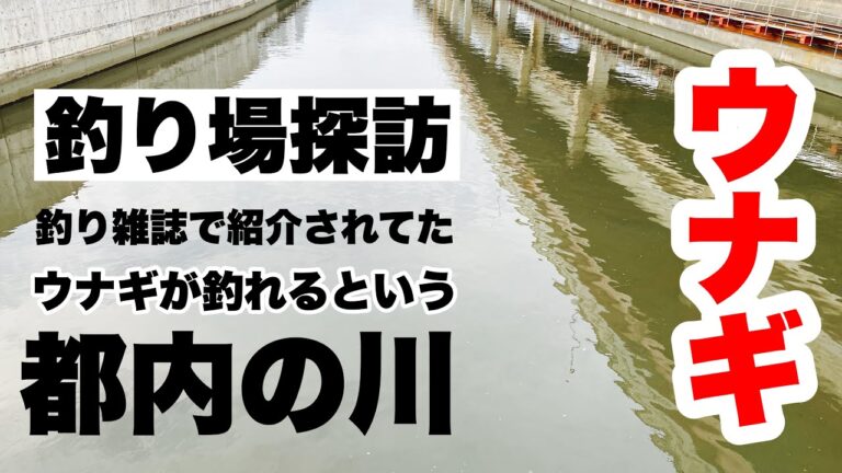【釣り場訪問】雑誌で紹介されてたウナギが釣れる川がどんな感じか見に行ってきた