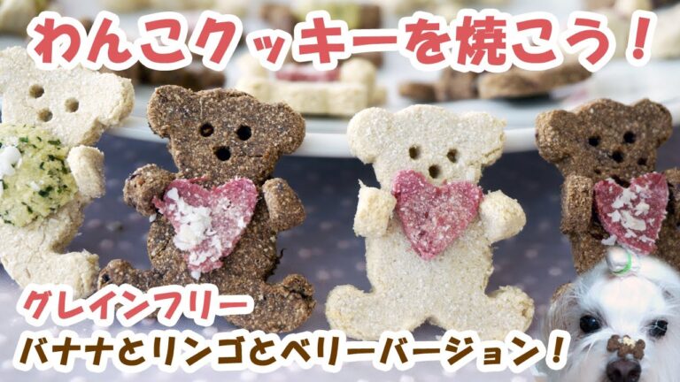【犬ごはん・手作り食】手作りクッキー・穀類なし・抗酸化クッキー　Valentine Cookies for Dogs (Grain Free Gluten Free Fruits Bar )