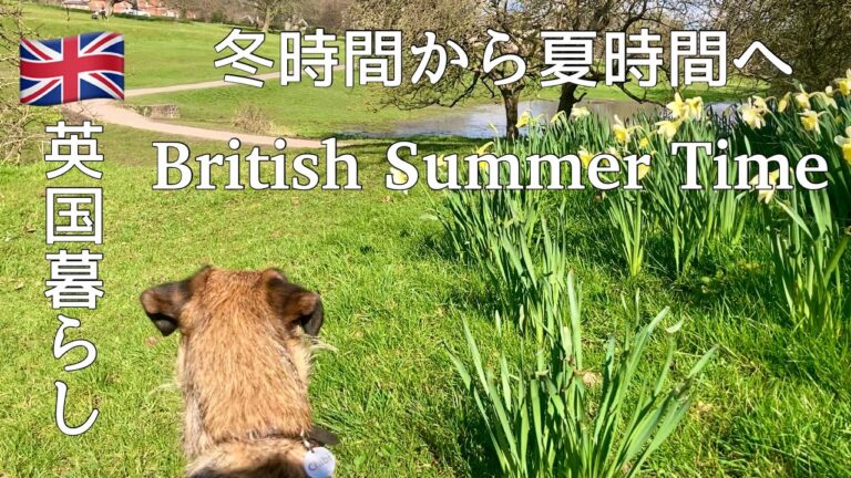 【英国暮らし】イギリスの冬時間が終わりました/野菜のチャウダー/クロワッサンサンド/アボカドを簡単に剥く/ボーダーテリア/英国田舎町暮らし