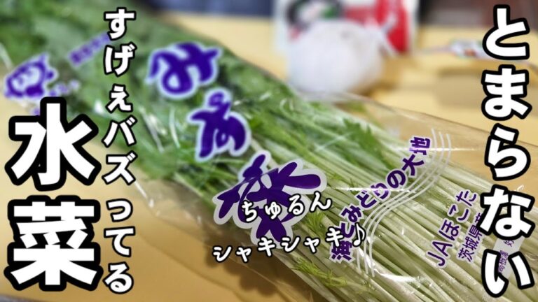 SNSですげぇバズってる！水菜の浅漬け/水菜と卵のすげぇ美味い料理！簡単レシピ 作り置き 常備菜 副菜 おつまみ 塩麹 お弁当おかず 人気料理 きゅうり レシピ