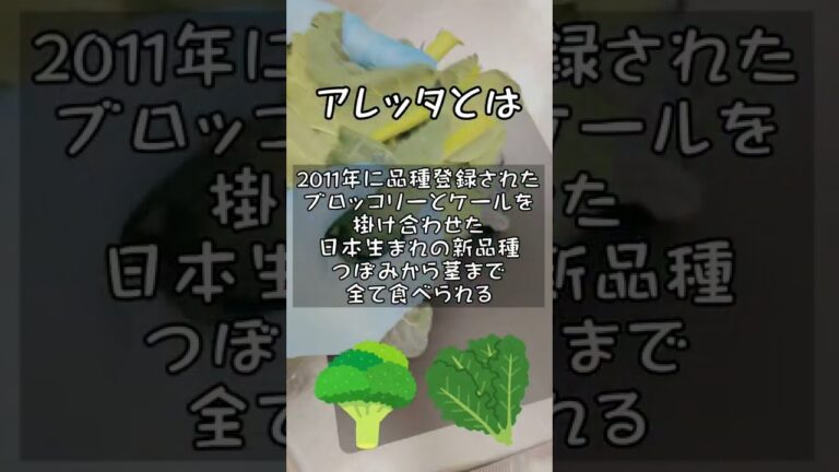 女将のアレッタのアーリオオーリオ #shorts