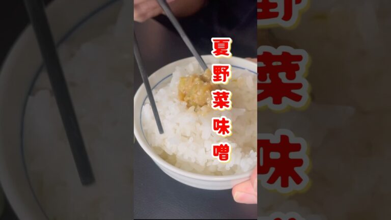 茄子があったら【夏野菜味噌】 #パパの三ツ星おうちごはん #料理 #cooking #家庭料理レシピ #おうちごはん