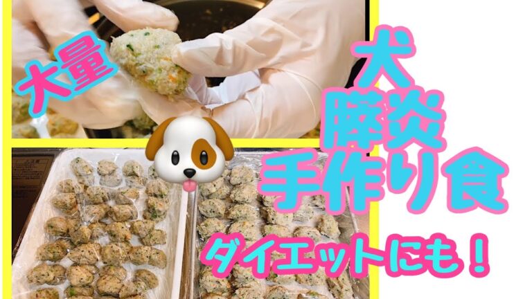 《膵炎》犬の手作り食【大量】
