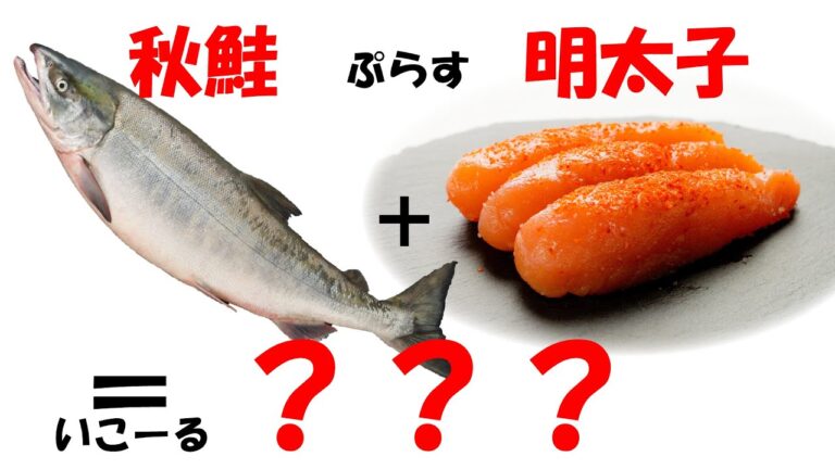 北海道前浜産の秋鮭と明太子の美味しいコラボ♪　白老町 虎杖浜 たらこ 明太子 通販【竹丸渋谷水産】