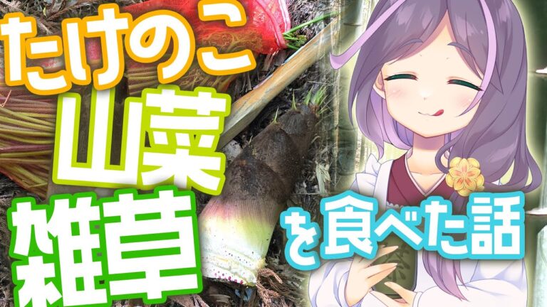【#ごはん #雑談】たけのこや山菜、雑草を採ってきて食べた話 【煎妻あんこ】 #お土産話