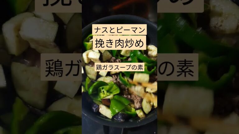 【適当ご飯】ナスとピーマンの挽き肉炒め