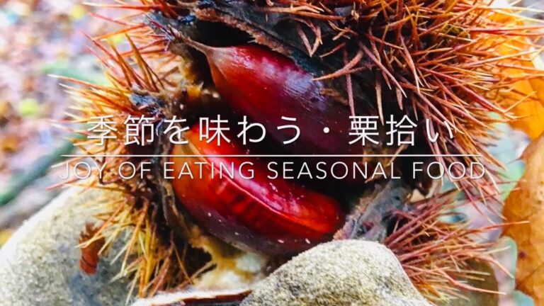簡単にできる栗の下処理 。　Preparing for Chestnuts- Simple Way