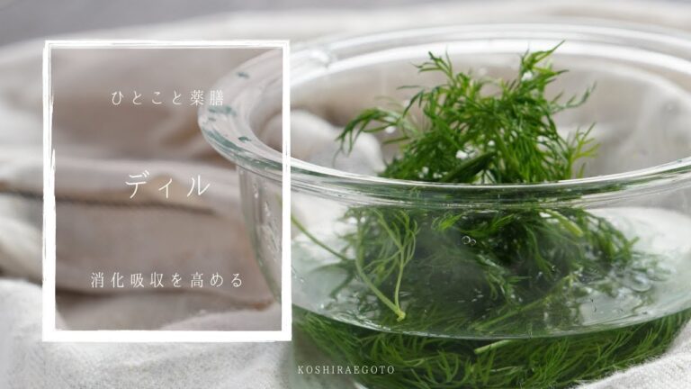 【ひとこと薬膳】ディル