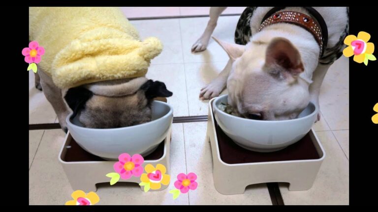 今年も無病息災でいけるように七草粥食べようね(o´・∀・｀o)ﾆｺｯ♪