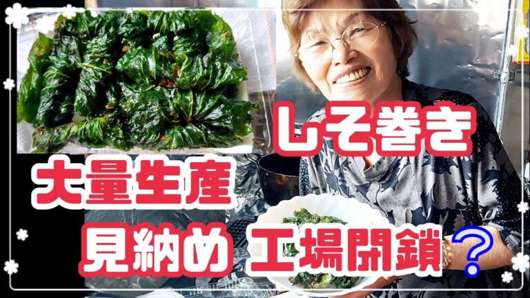 #1056【ばあちゃんの料理】今年も、しそ巻き作ったよ👩‍🍳