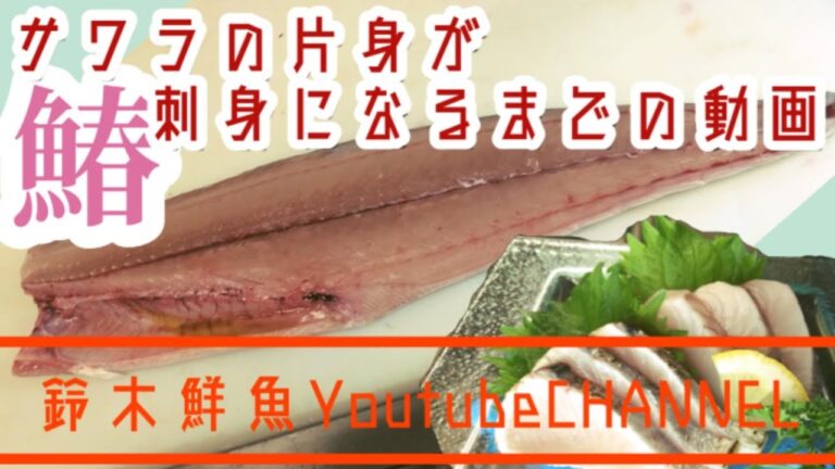 鰆 サワラの捌き方〜サワラの片身が刺身になるまでの動画〜