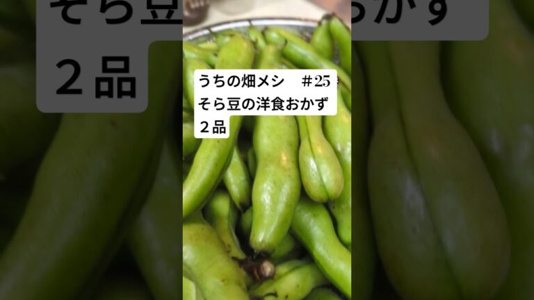 うちの畑メシ＃25そら豆の洋食おかず２品＃農業＃農家＃そら豆＃空豆＃ペペロンチーノ＃チーズ焼き＃料理＃レシピ＃Shorts